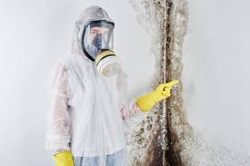 Professional Mold Removal & Remediation in Mcloud, OK